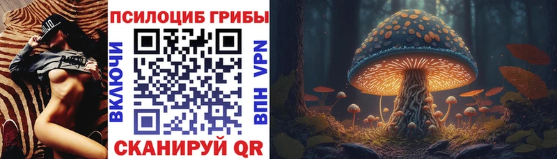 Галлюциногенные грибы Magic Shrooms  Заволжск 